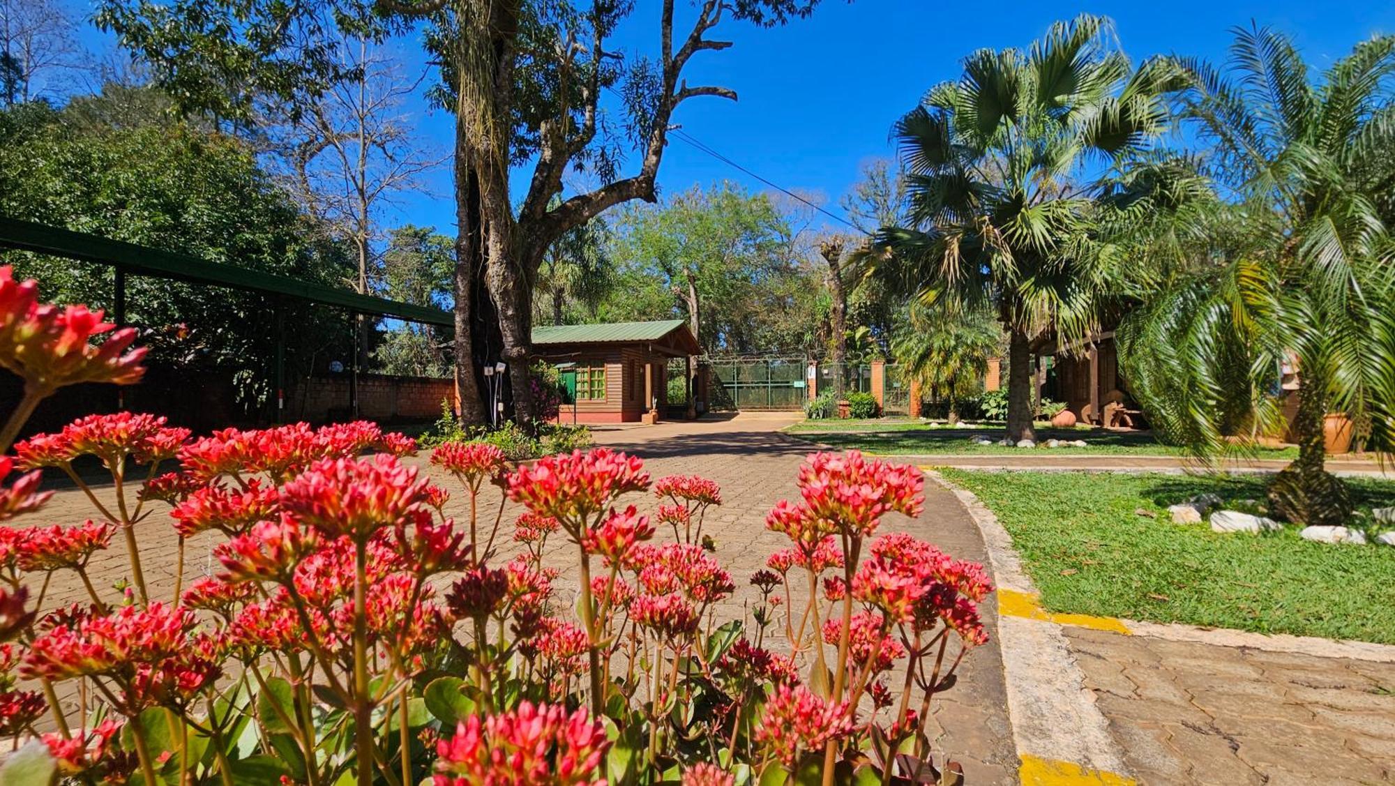 Cabanas Rincon Santa Maria Puerto Iguazú Eksteriør billede